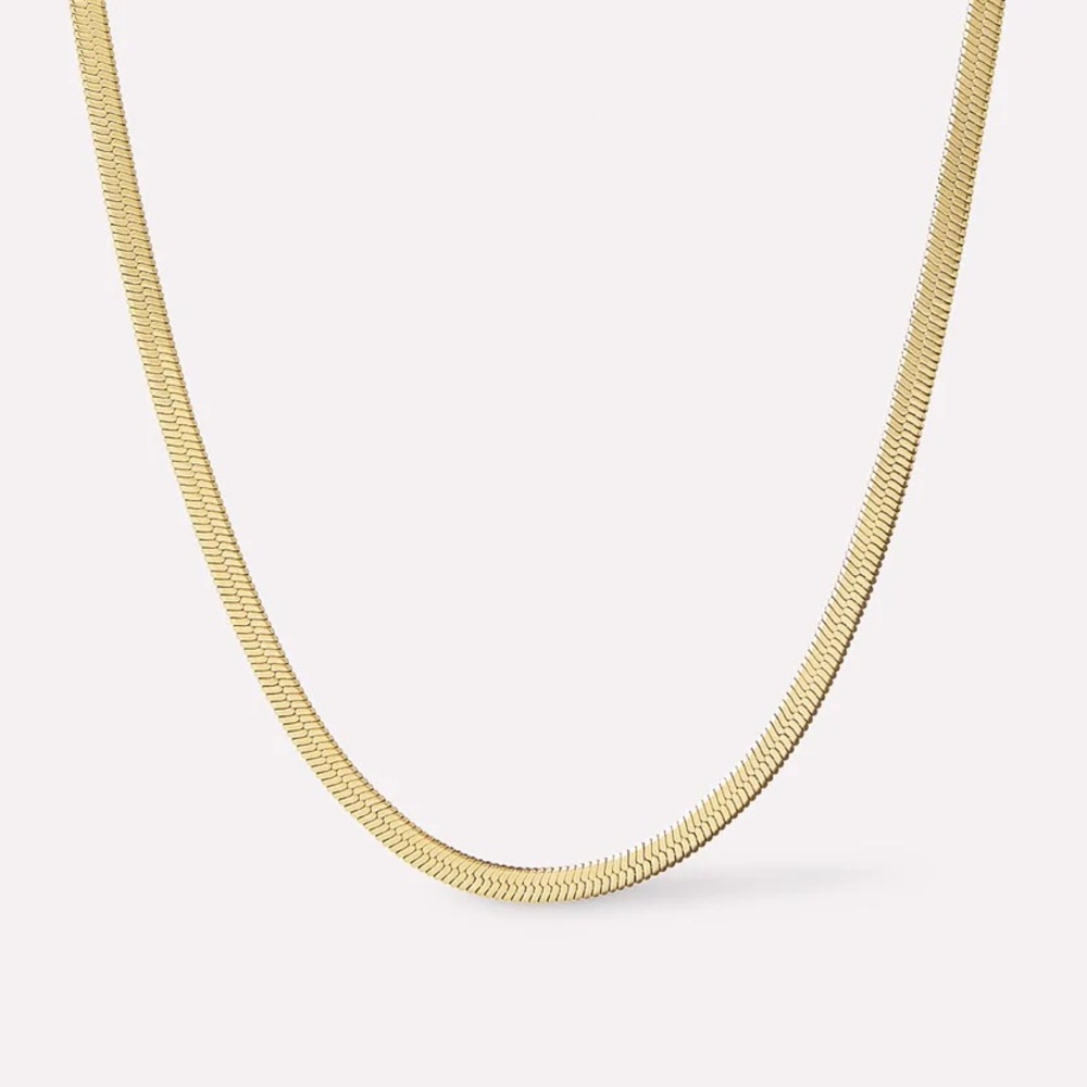 NWT Ana Luisa Water Resistant Gold Herringbone Necklace